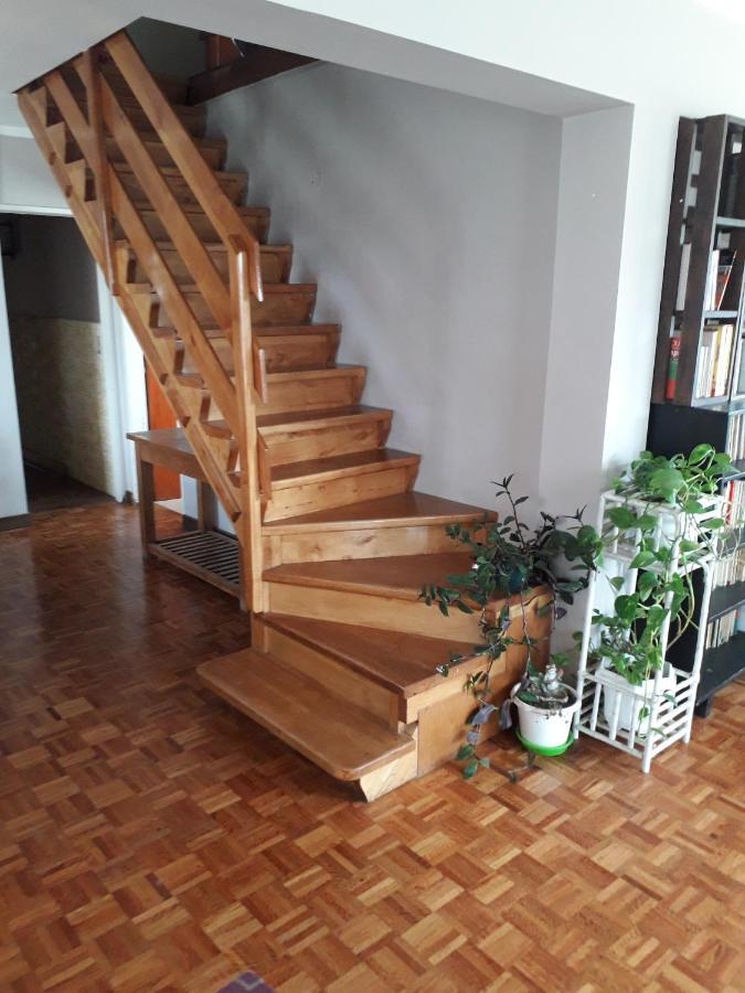 La Casa Del Mono Bed & Breakfast อูซัวยา ภายนอก รูปภาพ